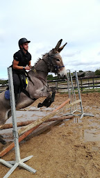 Photo n°16 de Erimûr'Anes à Mûrs-Erigné (Centre équestre)