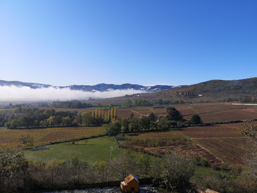 Ain Rhône Immobilier