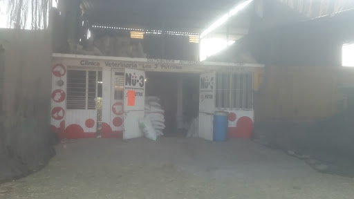 Clinica Veterinaria “Los 3 Potrillos” - Thumbnail
