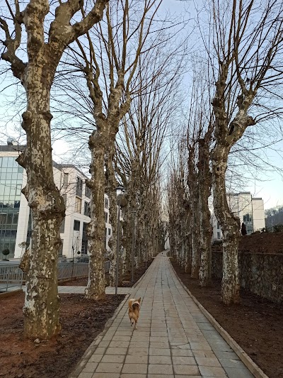 Turkish-German University