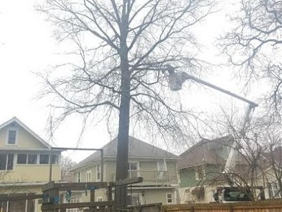 Tree trimming Cleveland OH