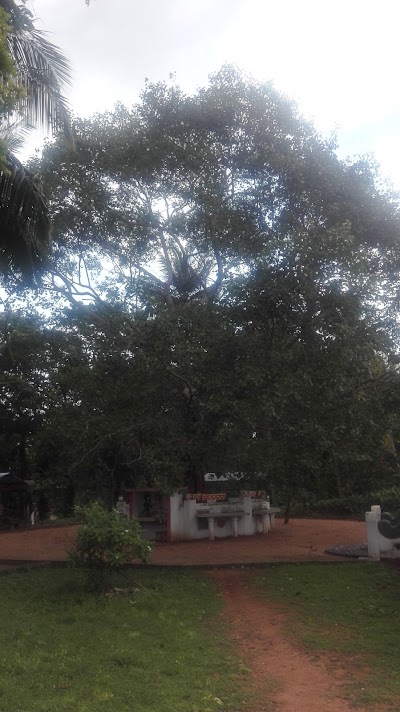 Photos of Sri Nigrodaramaya