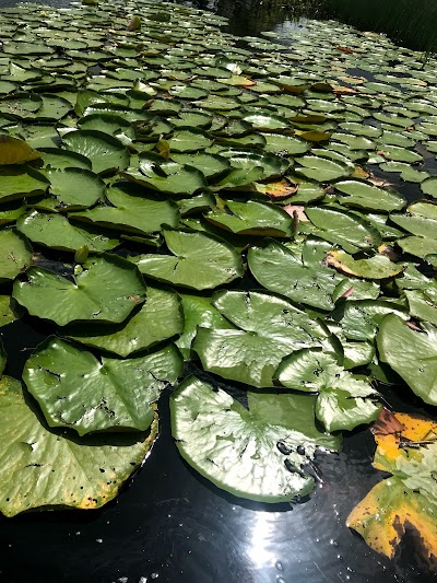 Photos of Moruka River