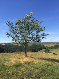 Photo n°28 de Les hauts de Cabrespine à Cassaniouze (Gîte)