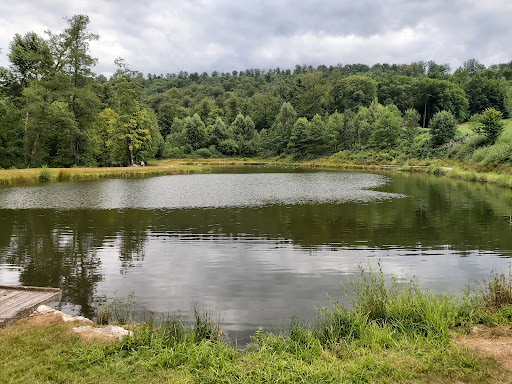 Domaine Provincial de Mirwart - Thumbnail