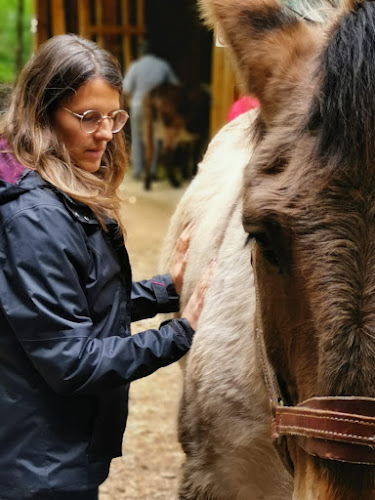 Educatrice comportementaliste canin, kinésiologue, Capbreton - Dresseur pour chiens
