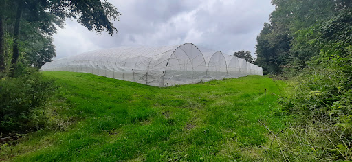 Belks farm - Thumbnail