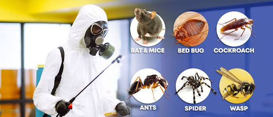 SPEEDUP PEST SOLUTION