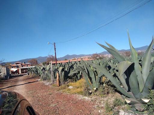 Pulquería En la Penca del Maguey - Thumbnail