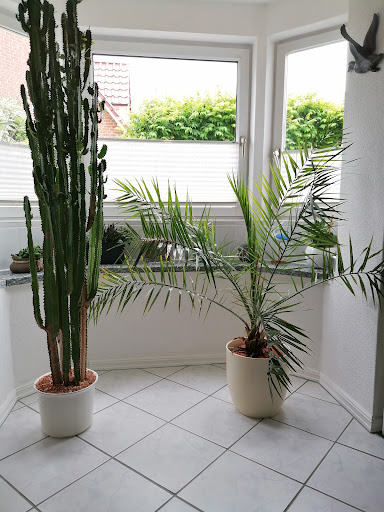 Ferienwohnung Hinz - Thumbnail