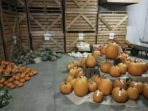 Forsterhof - Visual
