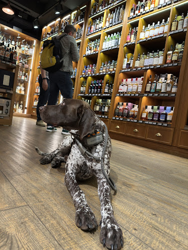 The Whisky Exchange - Covent Garden Shop - Liquor store
