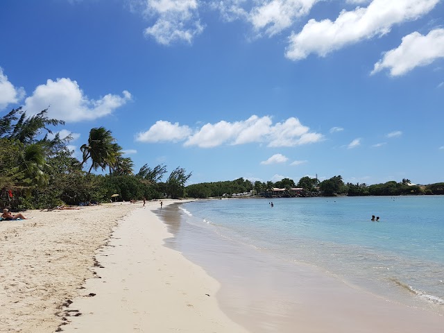 Grande Anse des Salines