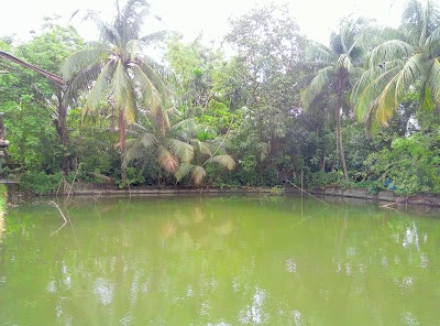 Photos of আমিন নগর জামে মসজিদ