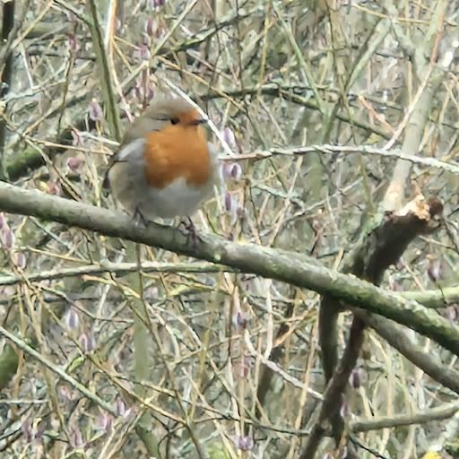 Wolseley Nature Reserve - Thumbnail