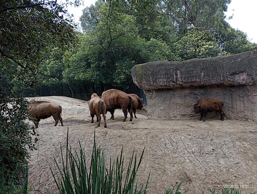 Zoológico de Chapultepec - Thumbnail