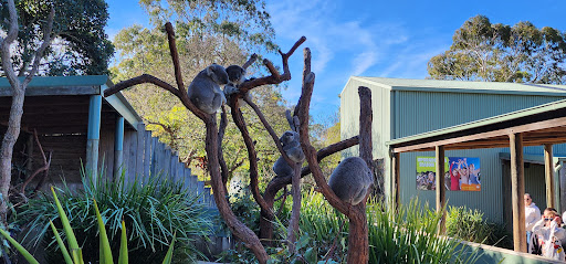 Symbio Wildlife Park, Lawrence Hargrave Dr