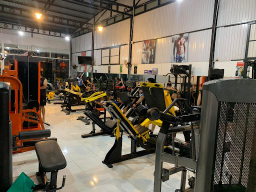 Trình Gym Fitness - Phòng Tập Gym Lâm Đồng
