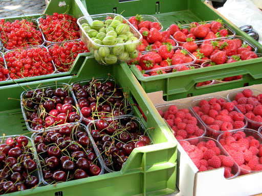 Obstplantage Zabel