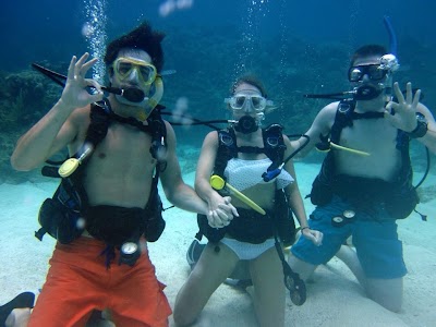 Photos of Coconut Tree Divers