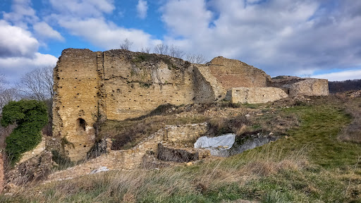 Photo de Château de Saint Sorlin à Saint-Sorlin-en-Bugey (01150)