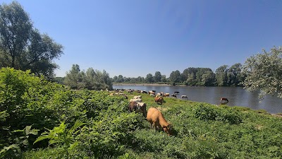 Park of Po Vercellese and Alessandrino