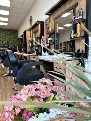 Royall friseur - Visual