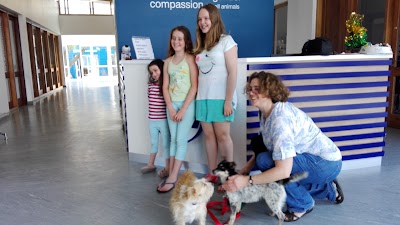 Photos of Cape of Good Hope SPCA