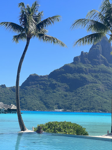 Beachfronts Travel, LLC - Thumbnail