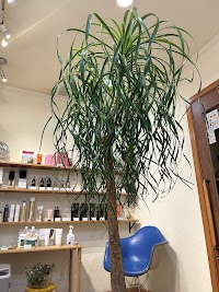 スールス サロン