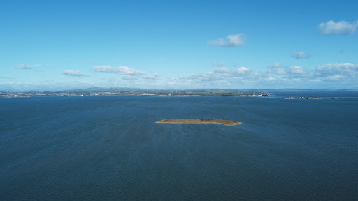 Sheep Island - Thumbnail