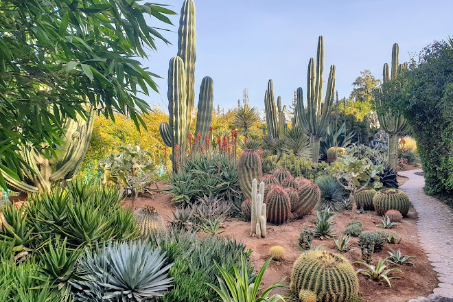 Visit Anima Andre Heller Garden On Your Trip To Marrakech Or Morocco