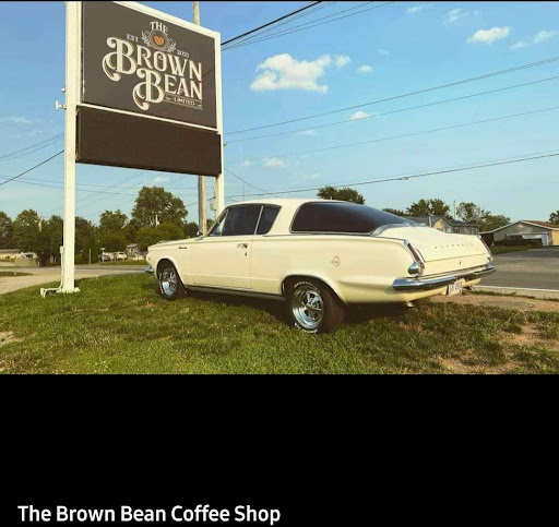 Brown Bean - Visual