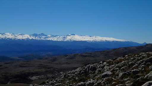 El Contaerillo