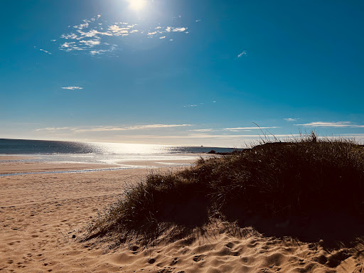 Sandhaven - Visual