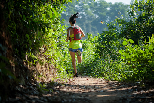 viajesdetrail.com