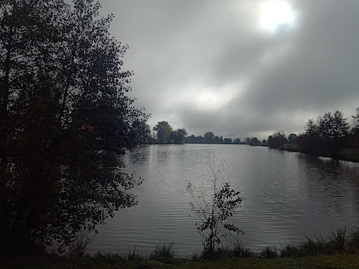 Altmühlursprung (Hornauer Weiher) - Thumbnail