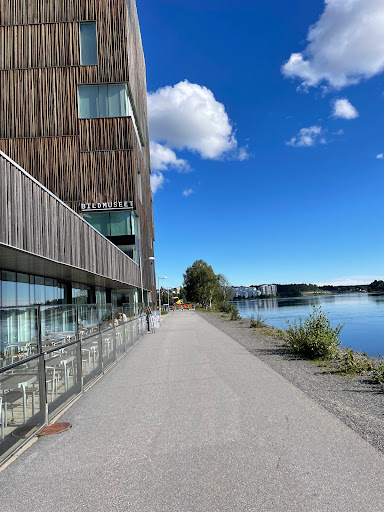 Bildmuseet