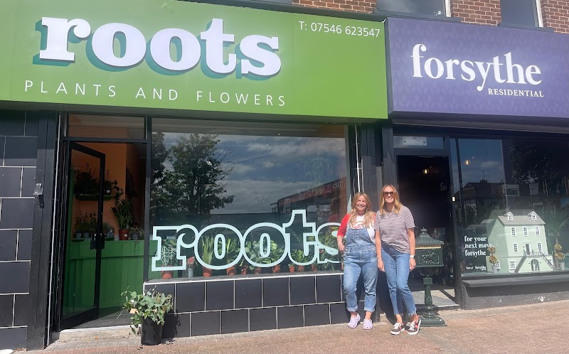 Forsythe Residential (Antrim Road, Belfast) photo 2