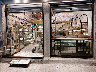 ΑΡΩΜΑ ΑΡΤΑΣ