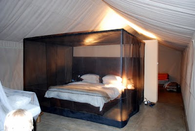 Photos of Honeyguide Tented Safari Camps