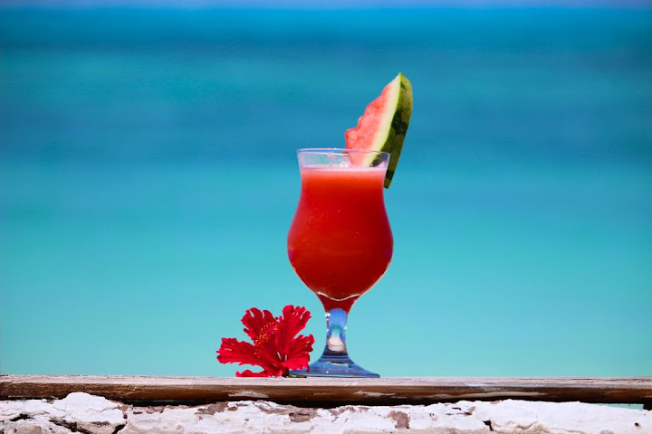 Blue Oyster Hotel by null