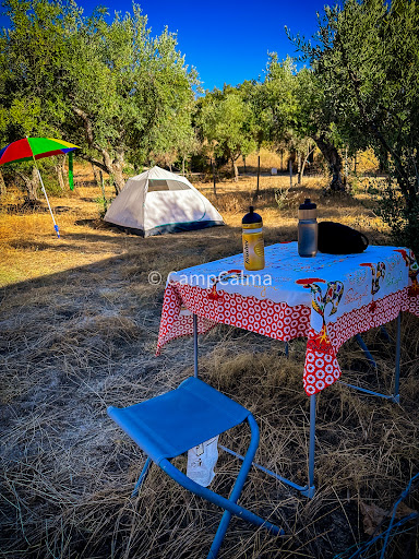 Camp Calma - Visual