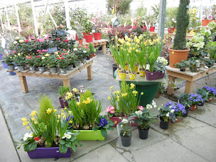 Photo n°2 de Jardin Malin à Montlouis-sur-Loire (Pépinière)