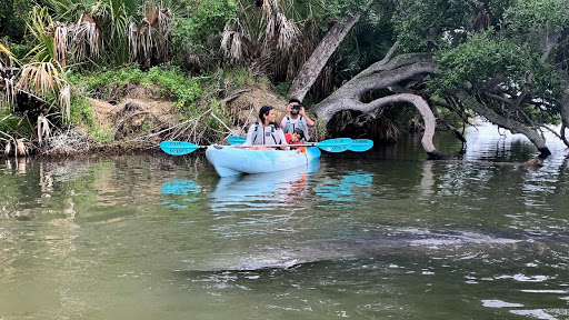 Cocoa Kayaking (Kayak & Paddleboard Tours!)