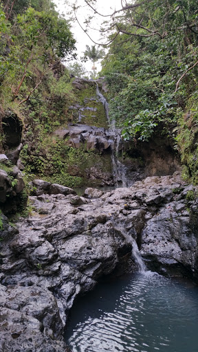 ʻEwa Forest Reserve - Thumbnail