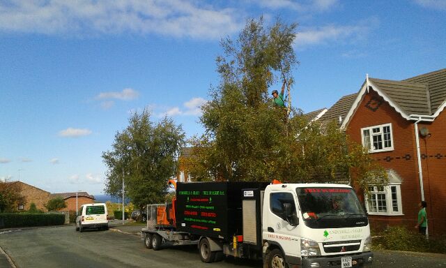 Underhill and Son Tree Surgery Ltd