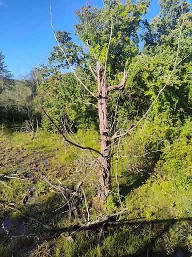 Blackstone River Bikeway Parking - Thumbnail