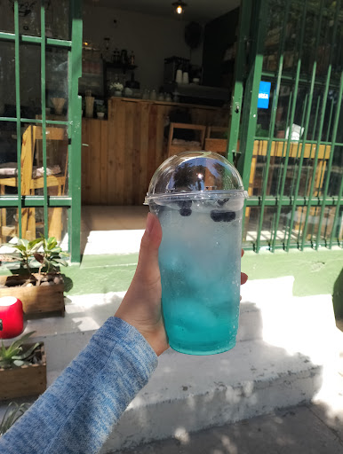 Bocanegra Café - Visual