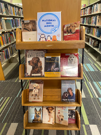 Rock Hill Public Library - Thumbnail